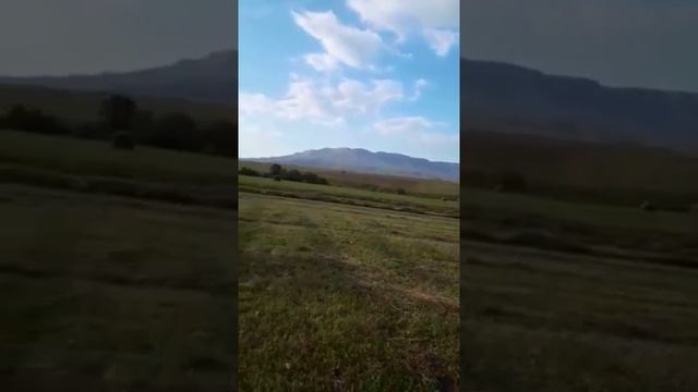 Работа пресс-подборщика ПР-145М (Унисибмаш) в Карачаево-Черкессии смотреть онлайн