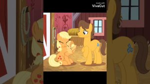 My little pony. Эпплджек и Карамель. Парочки Понивиля.