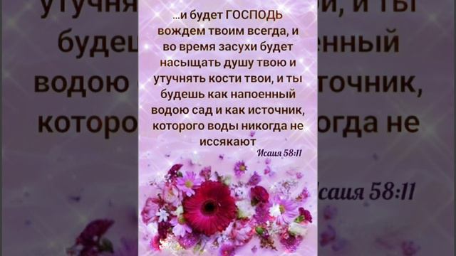 Благославенной недели!!! смотреть онлайн