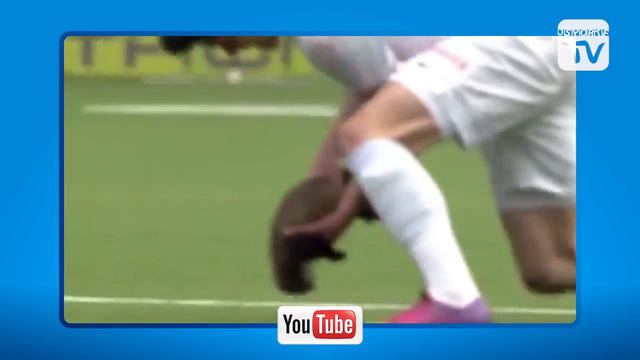 ТОП 5 самых необычных животных на футбольных полях смотреть онлайн