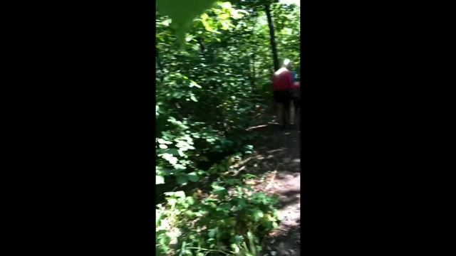 Путешествие в страну сказок смотреть онлайн