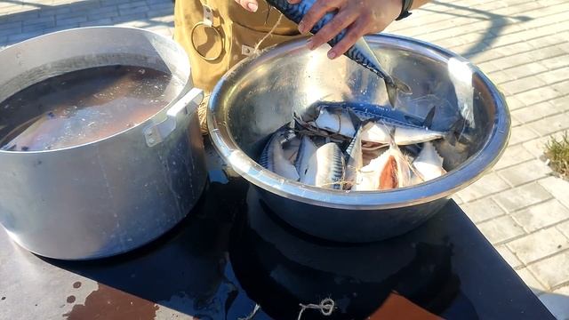 Скумбрия холодного копчения в супер коптилке.