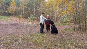 Послушание в защите. Город Реж Свердловской области. Дрессировка собак. Русский чёрный терьер.