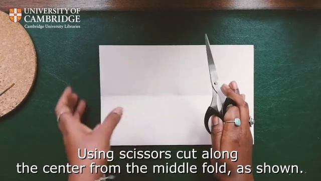 Summer Family Fun: How to make an instant book смотреть онлайн