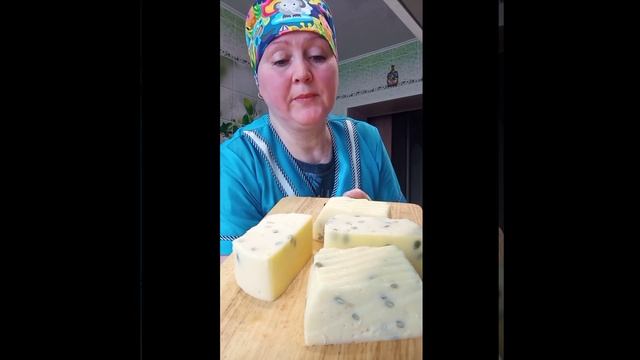 Дегустация домашних сыров.Камера для созревания сыра.АДЫГЕЙСКИЙ СЫР,сыр из творога,сыр рикотта.