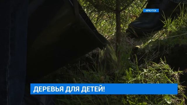 Деревья для детей смотреть онлайн