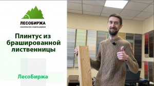Плинтуса для дома из бревна, бруса и для мест соединения деревянной отделки и пола