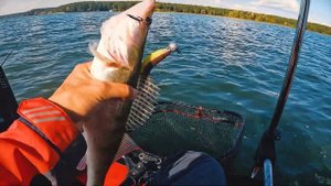 Паноптикс на ПВХ! Стоило ли это того?