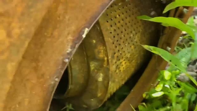 Находки сгоревшего дома! Как это всё увезти? Коп металлолома / Металлокоп смотреть онлайн