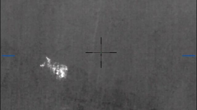 добыл лося с вышки 10.2023 смотреть онлайн