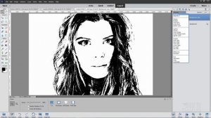 How You Can Make a Very Fast and Easy High Contrast Portrait Effect in Photoshop Elements