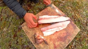 Дикая кухня !Сагудай