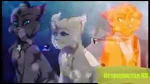 Коты-Воители Львиносвет и Пеплогривка💖Flesh