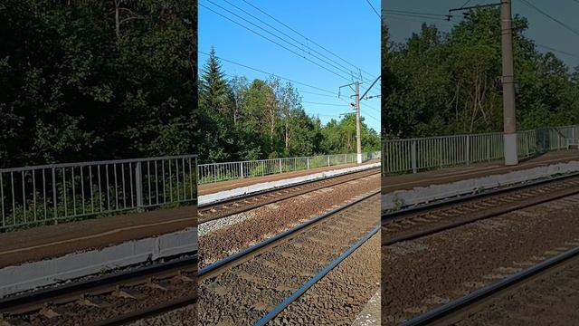А НА ЗОРЬКЕ РАННЕЙ ПЕЛ СОЛОВУШКА.