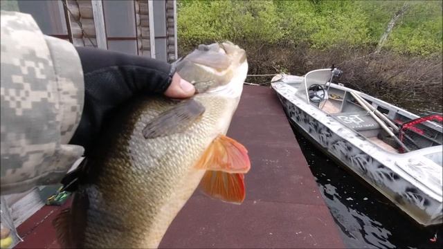 Зашел в затишек, а там хороший Окунь...Щука в прилове! смотреть онлайн