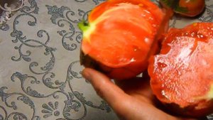 Томат Восхитительный Хой. Тест зрелых плодов!
