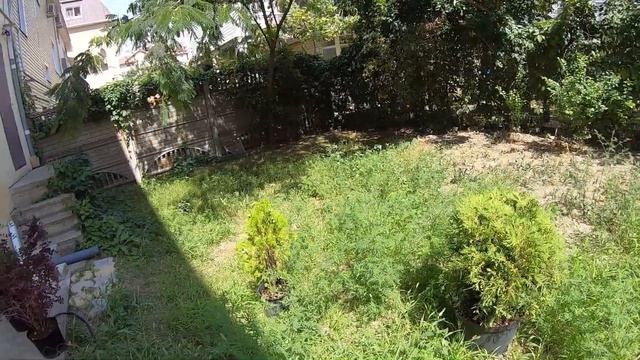 Неприхотливые, вечнозеленые растения для сада, которые можно выращивать в Краснодарском крае