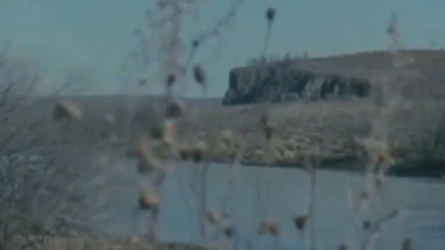 На зелёные погоны, упадут твои ладони. смотреть онлайн