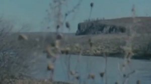 На зелёные погоны, упадут твои ладони.