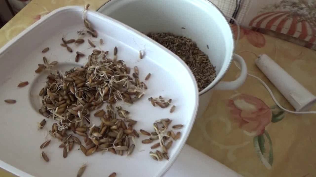 САМЫЙ,САМЫЙ ДЕШЁВЫЙ САМОГОН! ПОЧТИ БЕСПЛАТНЫЙ ЧАСТЬ 2 - ЗАБРОД