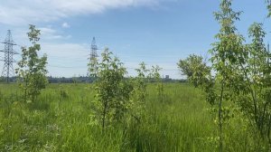 Московская область, городской округ Воскресенск, с. Ачкасово