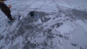 Рыбалка по первому ЛЬДУ/ Флаги встают одни За одним/  Рвётся Леска!!!