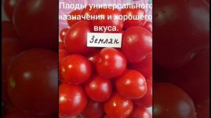 Каталог семян томатов,перцев и др.овощей на 2023год.Цены в описании. Часть 1.