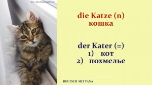 30 животных на немецком