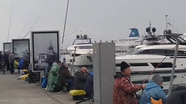 Как рыбачат в морском порту  Сочи !