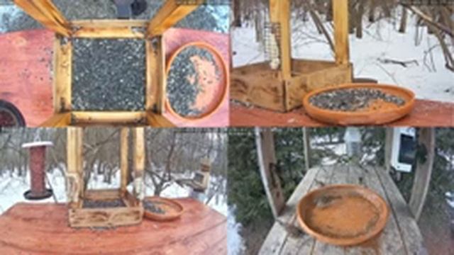 Трансляция с кормушки для птиц. 22.03.2021 года. город Калуга/Live bird feeder cam, Russia смотреть онлайн