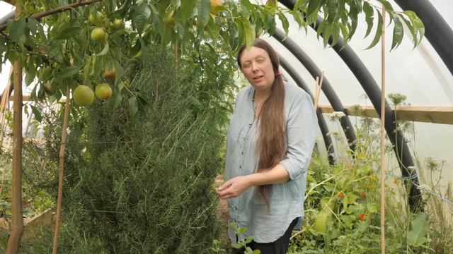 Incredible Abundance in an Extreme Climate (Undercover Permaculture) смотреть онлайн