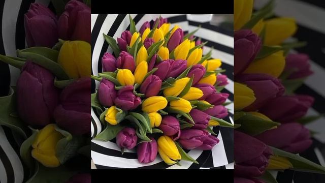 🌹💖💋💐С ДНЁМ ЖЕНСКОГО СЧАСТЬЯ ! БУДЬТЕ СЧАСТЛИВЫ ! смотреть онлайн