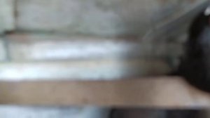 идеальный курятник! + свинарник своими женскими руками!  мой влог о деревенской жизни