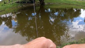 Мормышинг. Домашний водоем 25 июня 2024 года