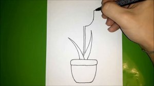 Как нарисовать ТЮЛЬПАН в горшке?