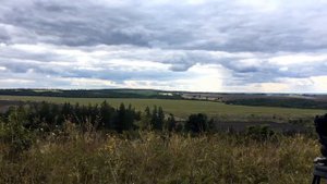 Природа Саратовской области