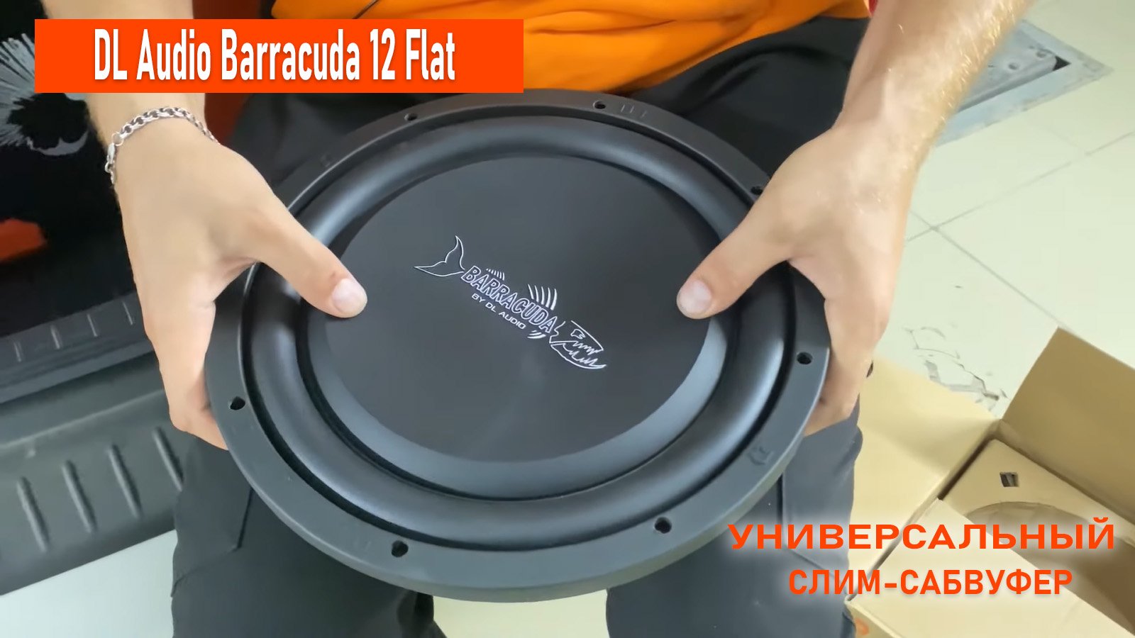 Валящий универсальный слим-сабвуфер для стелс/зя/фи/под сиденье. DL Audio Barracuda 12 Flat