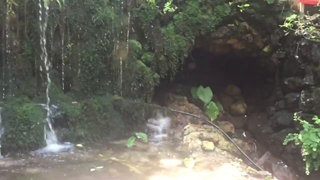 Потрясающая красота живой природы — фиолетовые стрекозы Крита смотреть онлайн