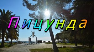 Пицунда. Абхазия. Ноябрь. // Pitsunda. Abkhazia. November.