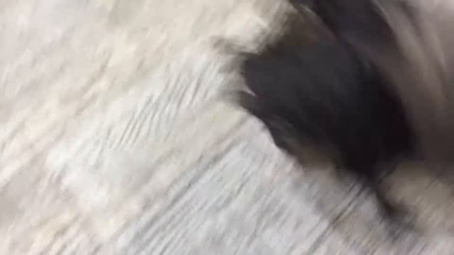 Клара Сергеевна Воронина смотреть онлайн