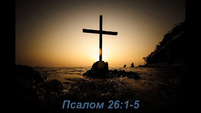 Как жить среди проблем смотреть онлайн