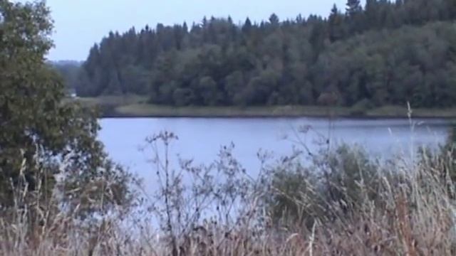 Поход в заброшенную деревню. Псковская область смотреть онлайн