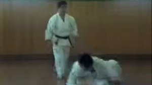 Бункай Сэйюнтин ката, Годзю рю карате до