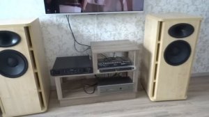 АВТОРСКАЯ АКУСТИКА ОНКЕН 12 дюймов