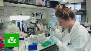 Как поиск родственников по ДНК помогает раскрывать преступления | «Центральное телевидение»