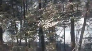 Отдых в Горном Алтае зимой. Туры на авто, рыбалка