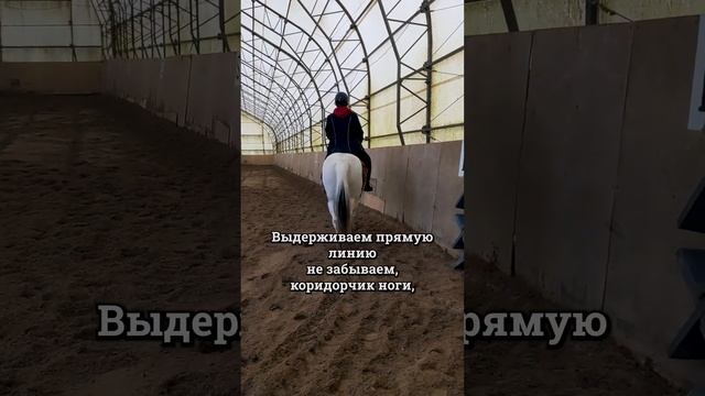 Сегодня у нас Наталья и Лунтик. Углы и прямые линии.  #horse