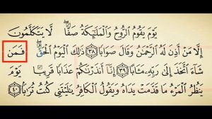 Шайх Алижон кори НАБА СУРАСИ 38-оятдан сунгигача