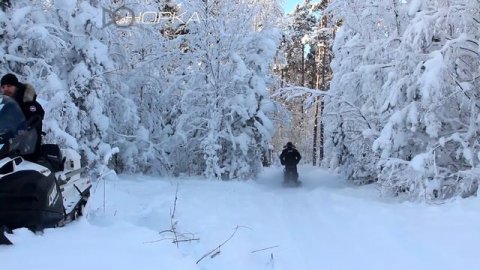 Мотобуксировщик "Норка". Краткий обзор