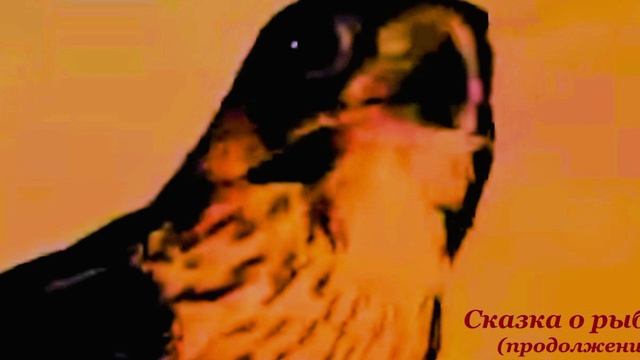 Шувани. "1001 ночь. Сказка о рыбаке." Продолжение - 3, плей-лист "Сказки от Шувани"